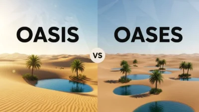 oases or oasis